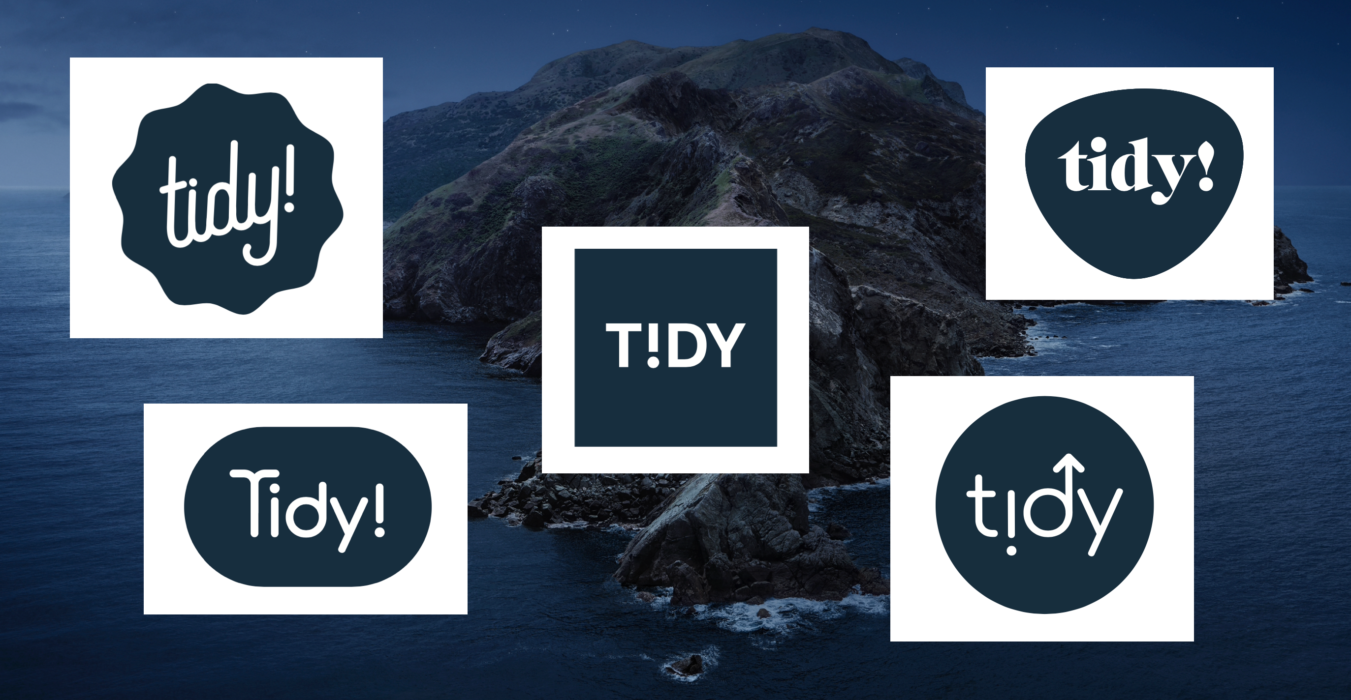 Screenshot of tidy logo concepts by Jason